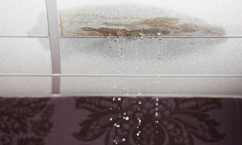 Roof Cleaning Services in Indian Trail