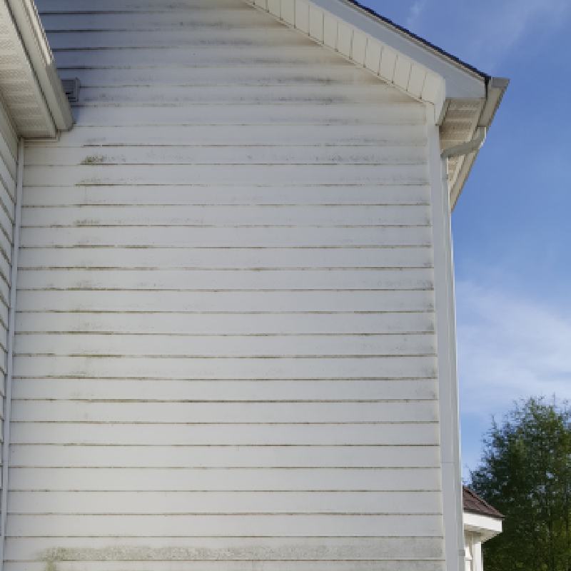 Wall Cleaning of The House