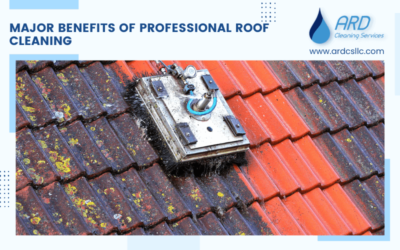 Major Benefits Of Professional Roof Cleaning