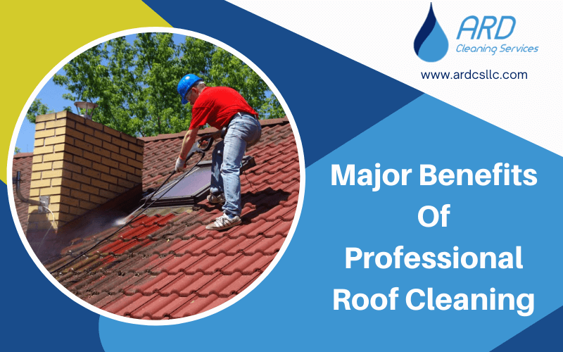 Roof Moss Removal Service Bellevue Wa