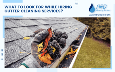 What To Look for While Hiring Gutter Cleaning Services?