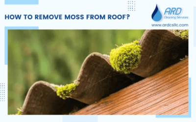 How To Remove Moss From Roof?