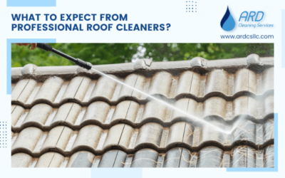 What To Expect From Professional Roof Cleaners?