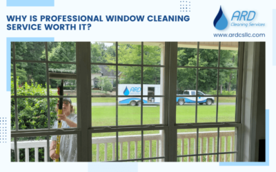 Why is Professional Window Cleaning Service Worth It?