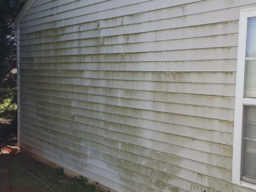 Before Brick Cleaning Services by Pressure Washing Company in Indian Trail