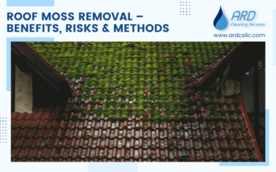 Roof Moss Removal – 4 Benefits, Risks & Methods