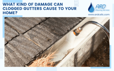 What Kind of Damage Can Clogged Gutters Cause to Your Home?