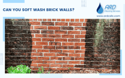Can You Soft Wash Brick Walls?
