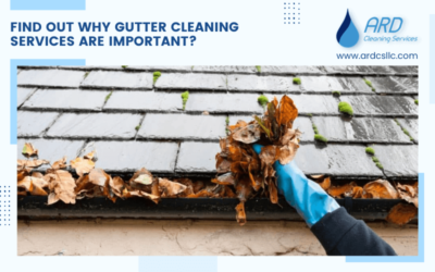 Find Out Why Gutter Cleaning Services Are Important?