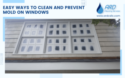 Easy Ways To Clean And Prevent Mold On Windows