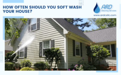 How Often Should You Soft Wash Your House?