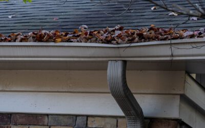 Reasons to Use Our Gutter Services