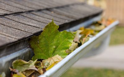 Five Benefits of Regular Gutter Cleaning