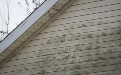 Why You Should Schedule Regular Siding Cleaning Services