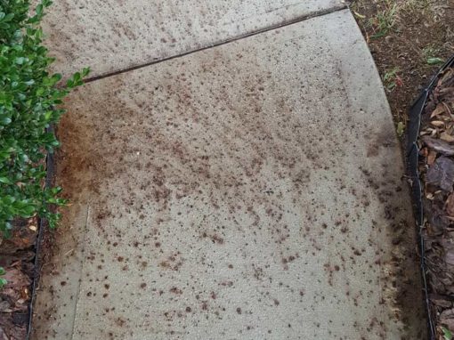 After Sidewalk Villa Residential Cleaning Services