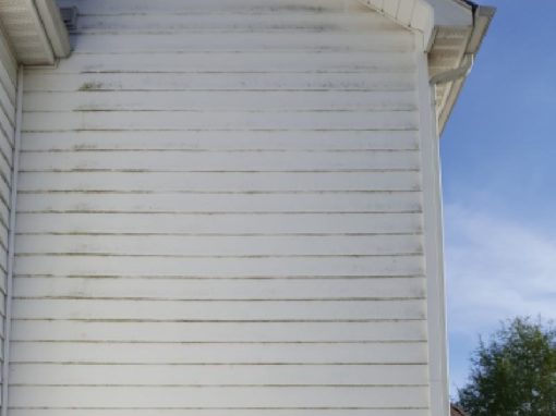 Wall Cleaning of The House After